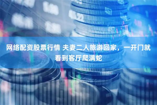 网络配资股票行情 夫妻二人旅游回家，一开门就看到客厅爬满蛇